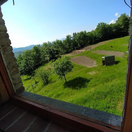 Agriturismo Paneolio Villa Collemandina Екстериор снимка
