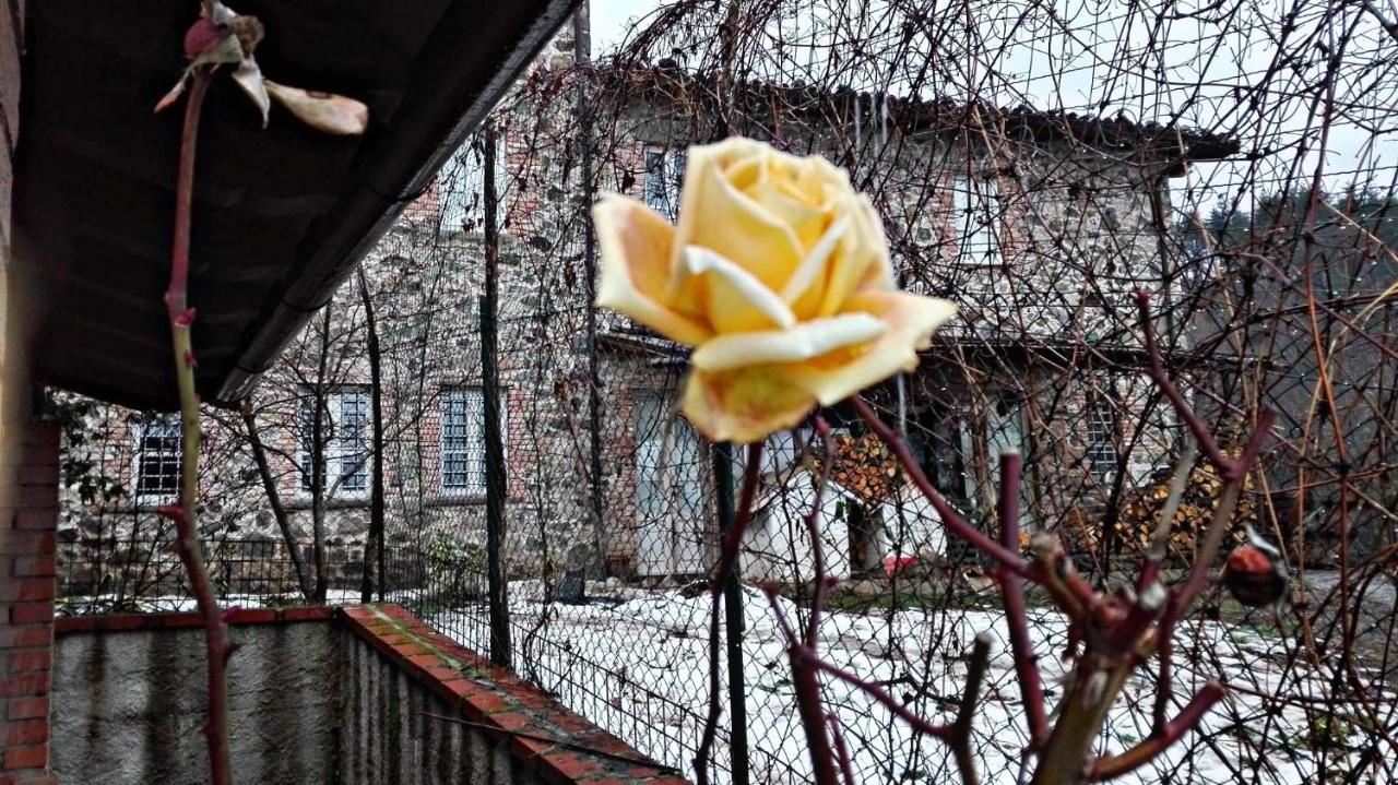 Agriturismo Paneolio Villa Collemandina Екстериор снимка