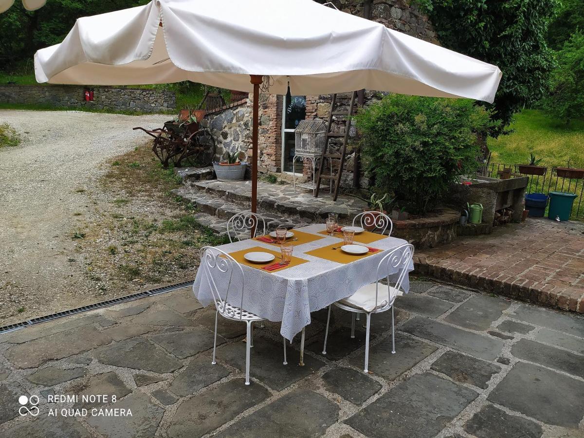 Agriturismo Paneolio Villa Collemandina Екстериор снимка