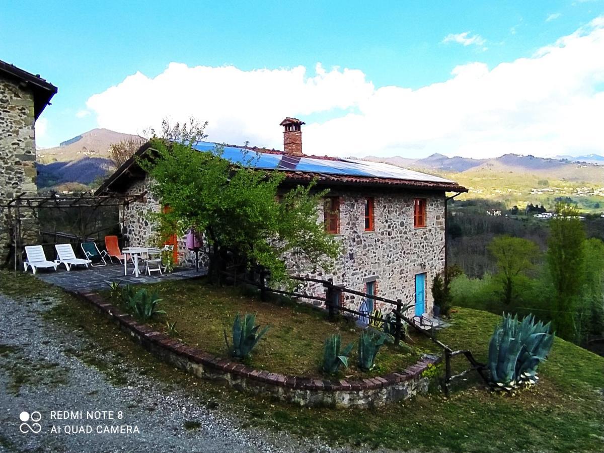 Agriturismo Paneolio Villa Collemandina Екстериор снимка